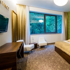 Rimske Terme, Hotel Rimski dvor ali Sofijin dvor
