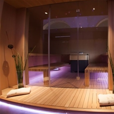 Grand hotel Sava 4*, Rogaška Slatina: Mini detox paket