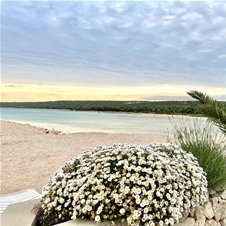 Apartmaji Blue & Gold On the Beach, Novalja, Pag