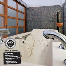 Lepotni center SPA Organic: strojna limfna drenaža, 1x